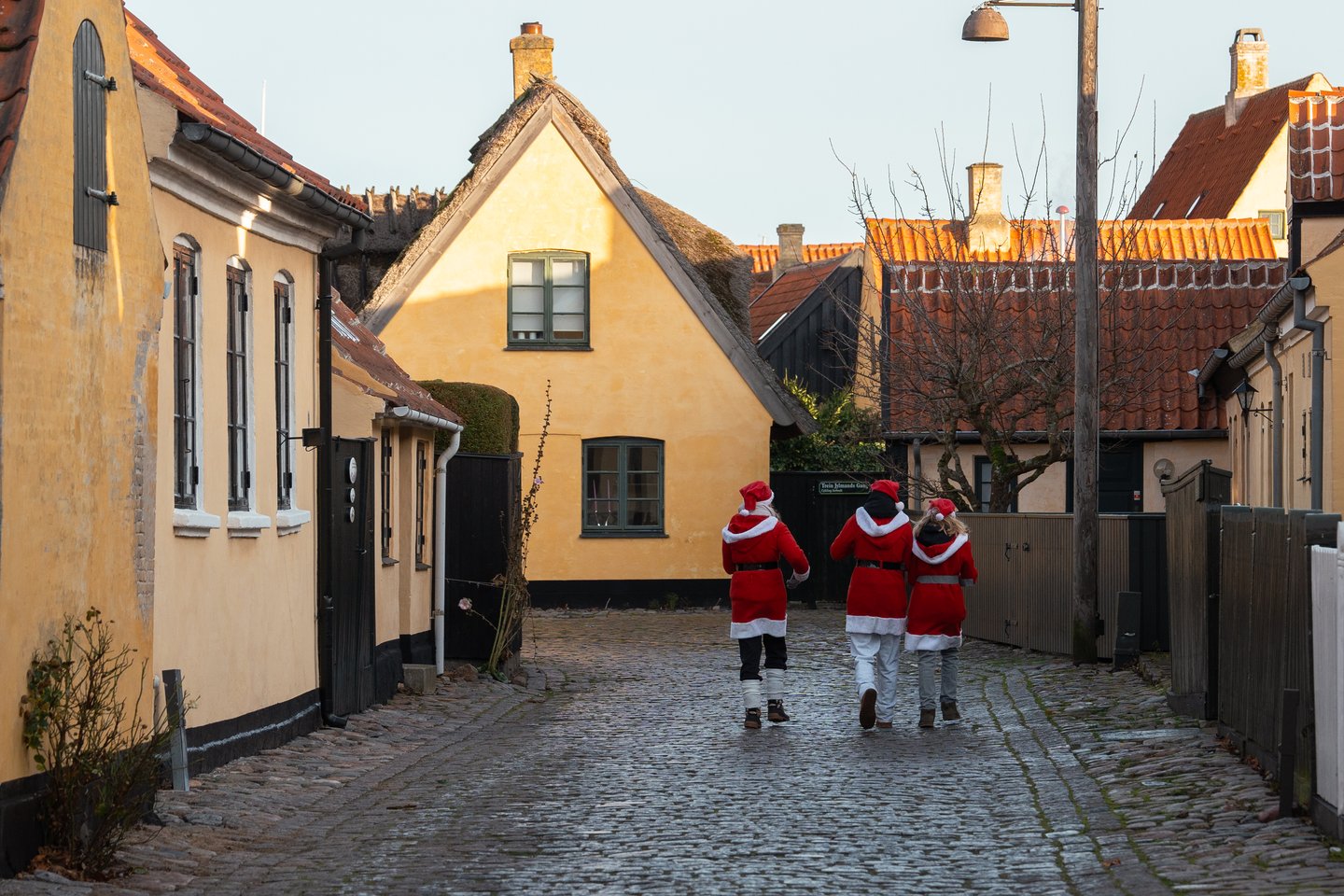 Copenhagen culture and history: cobblestone streets, canals, Nyhavn, and botanical garden