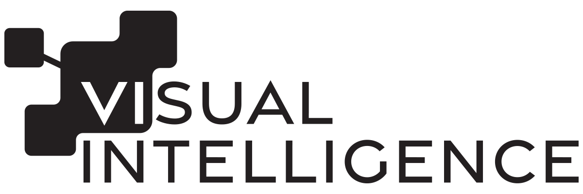 Visual Intelligence